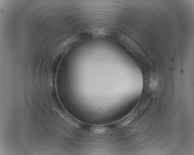 X0000065970710200603101357