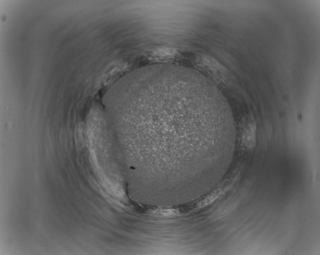 X0000065970711200603101357