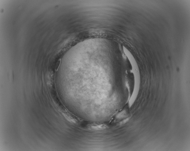 X0000065970712200603101357