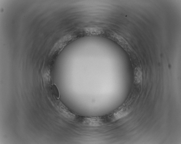 X0000065970713200603101357