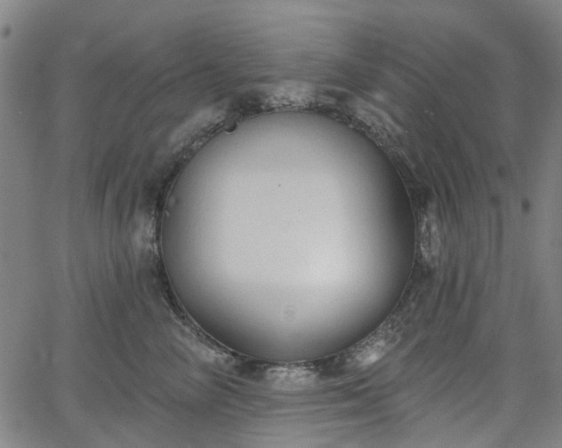 X0000065970714200603101357