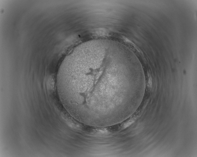 X0000065970715200603101357