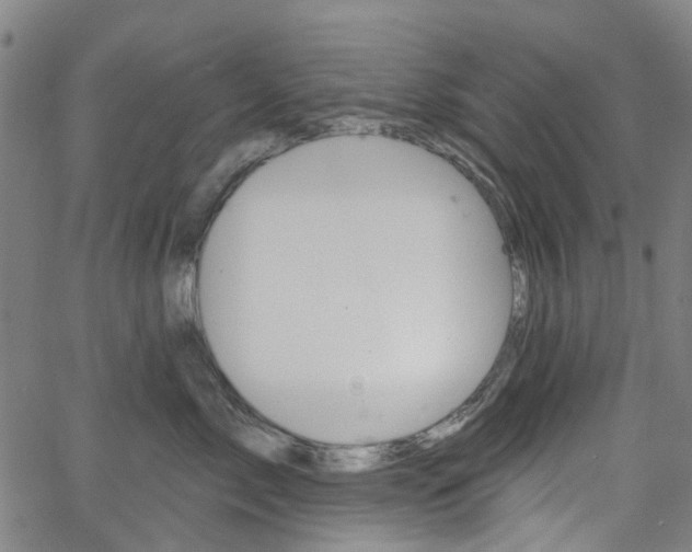 X0000065970717200603101357