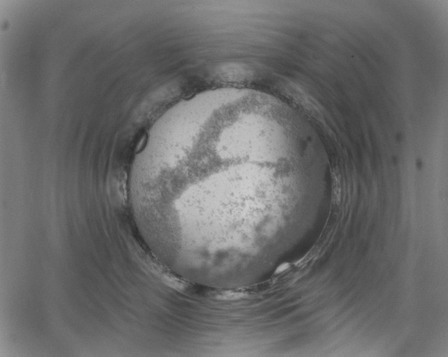 X0000065970718200603101357