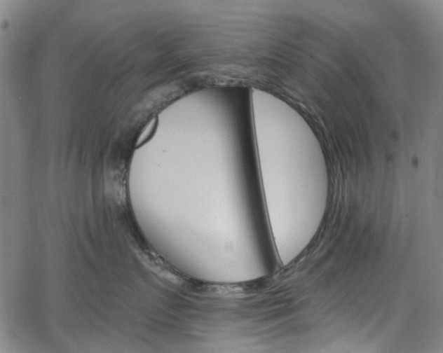 X0000065970719200603101357