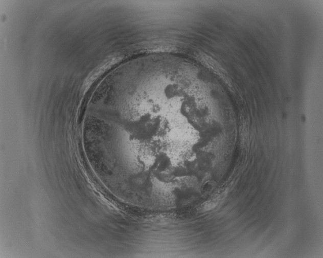 X0000065970721200603101356