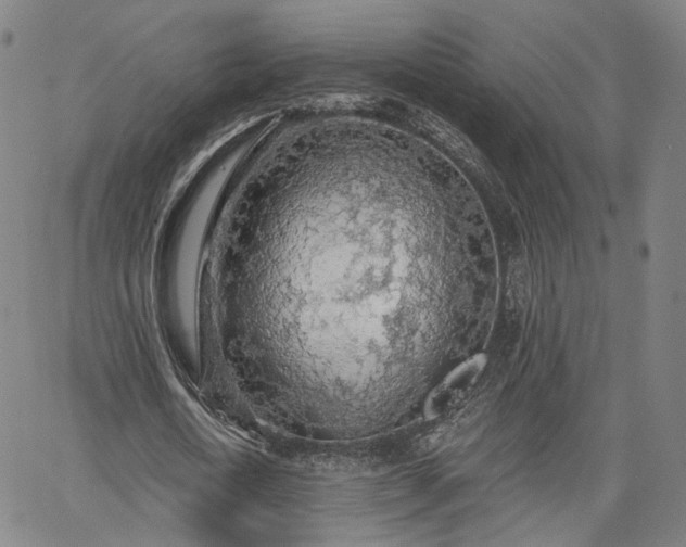 X0000065970722200603101356