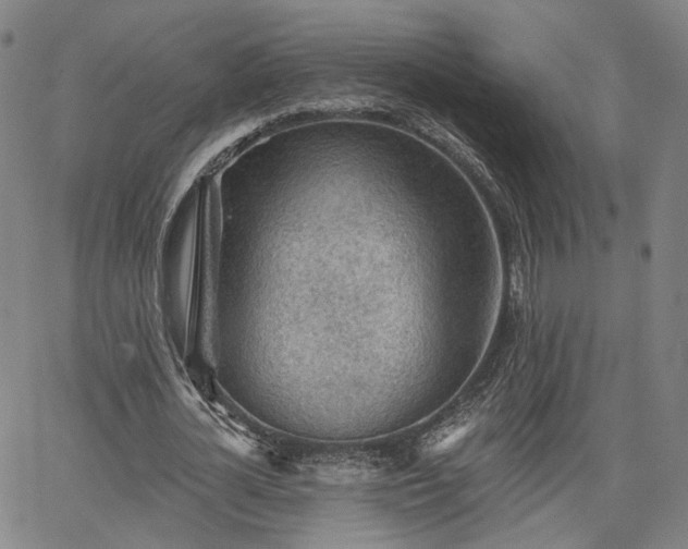 X0000065970724200603101356