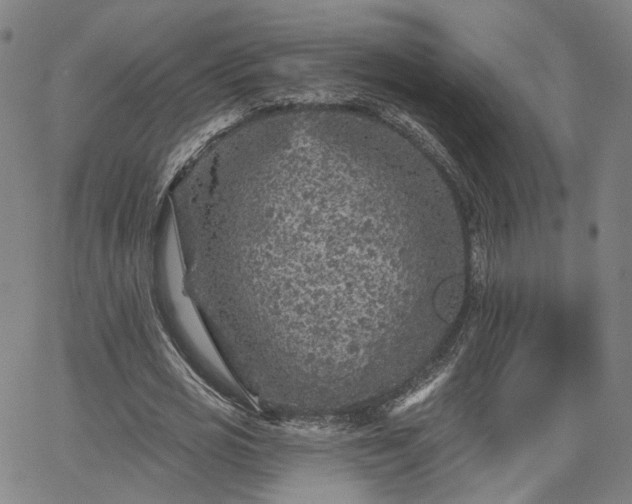 X0000065970725200603101356