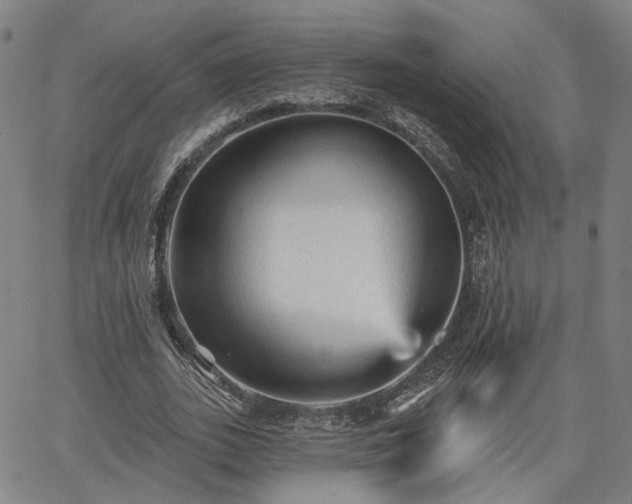 X0000065970727200603101356