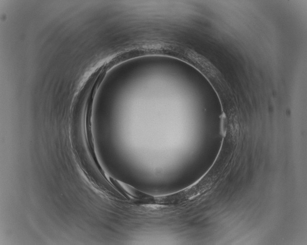 X0000065970728200603101356