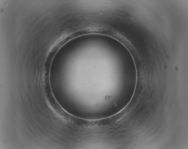 X0000065970730200603101356