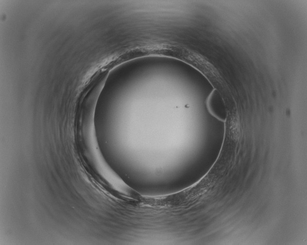 X0000065970732200603101356