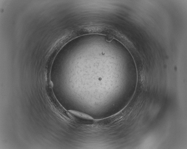 X0000065970733200603101356