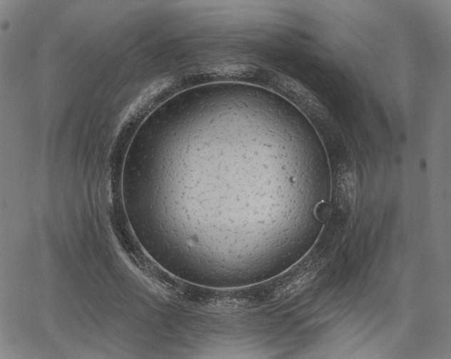 X0000065970734200603101356