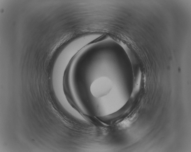 X0000065970735200603101356