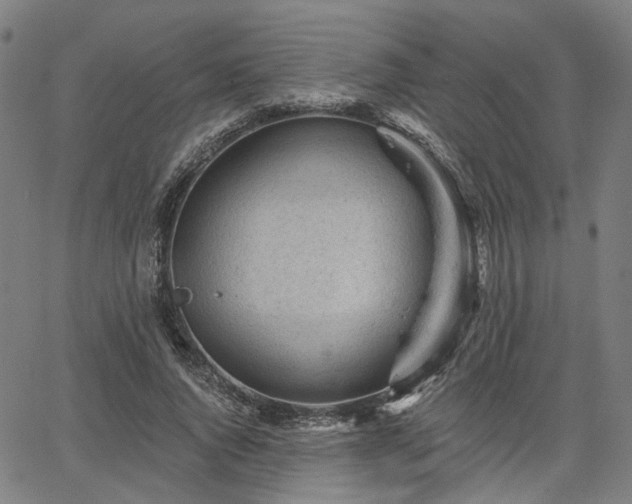 X0000065970736200603101356