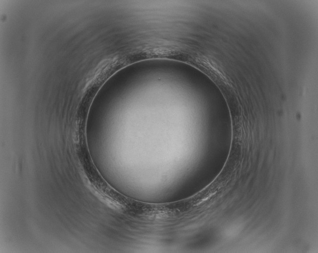 X0000065970738200603101357