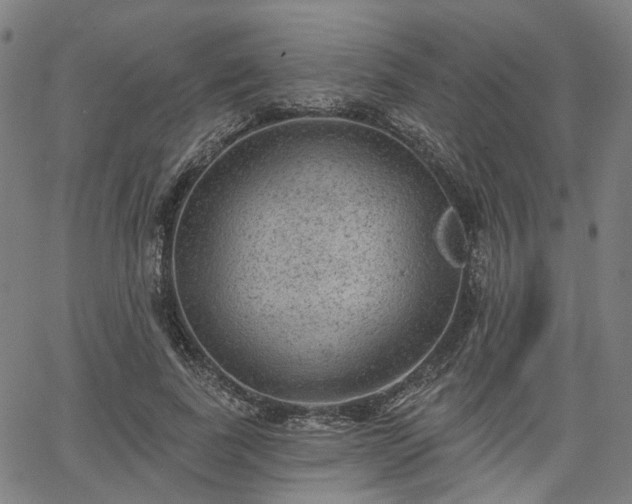 X0000065970739200603101357