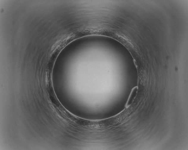 X0000065970740200603101357