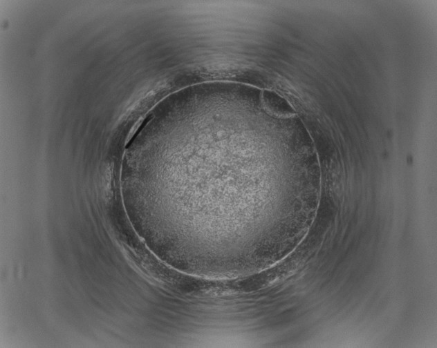 X0000065970742200603101357