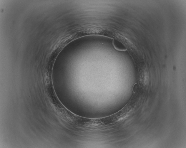 X0000065970743200603101357