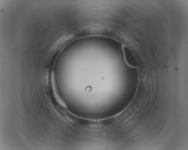 X0000065970744200603101357