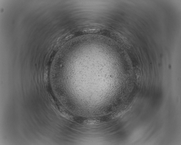 X0000065970745200603101357