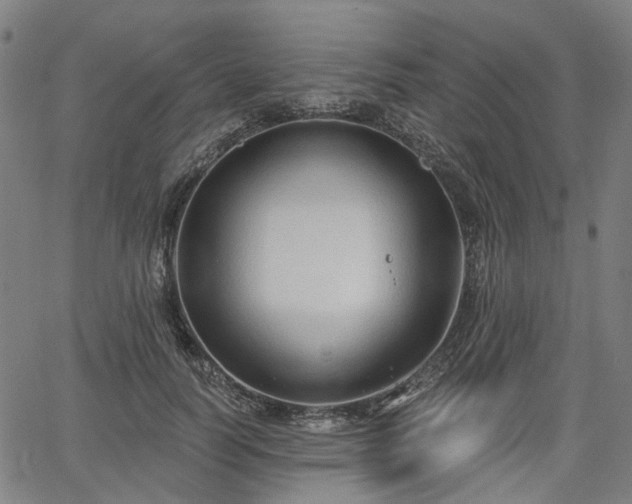 X0000065970746200603101357