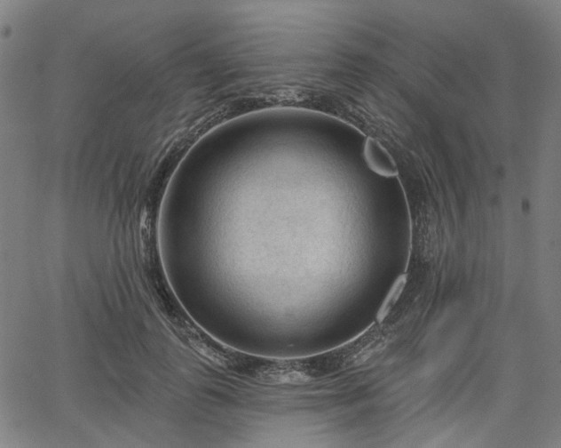 X0000065970747200603101357