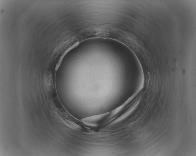 X0000065970748200603101357