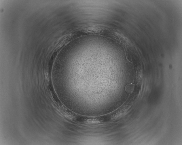 X0000065970749200603101357