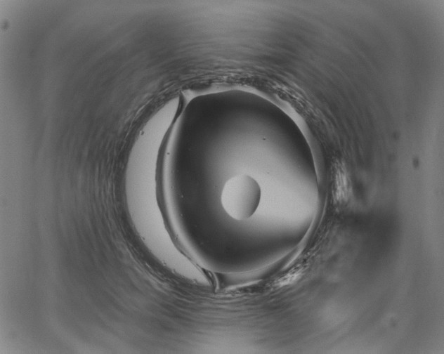 X0000065970750200603101357