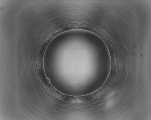 X0000065970751200603101357