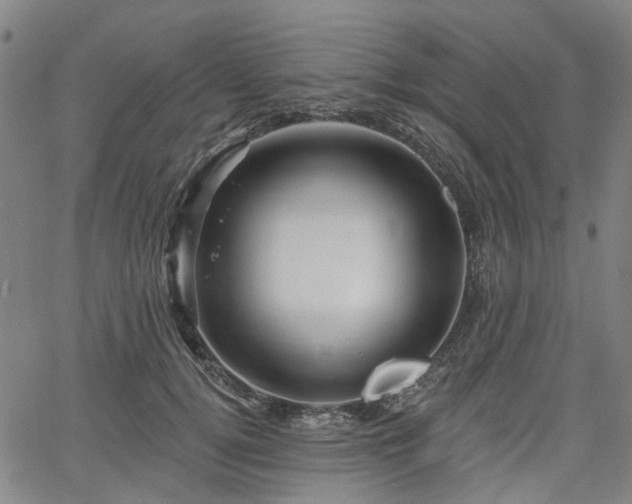 X0000065970752200603101357