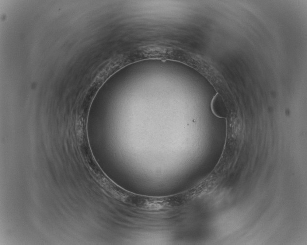 X0000065970753200603101357