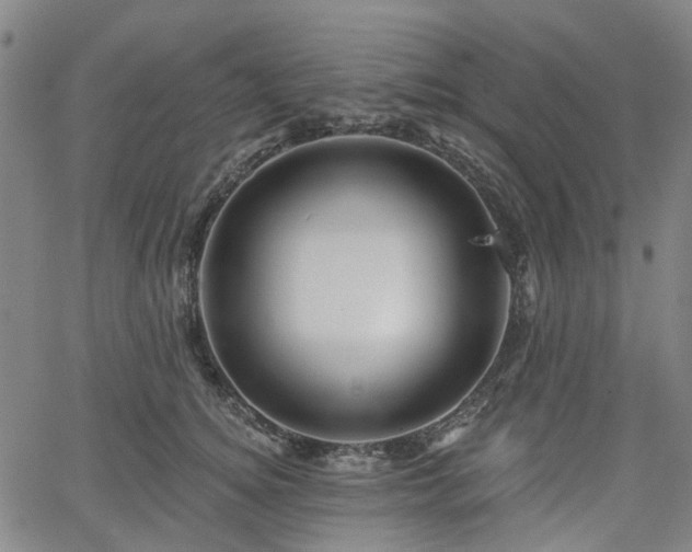 X0000065970756200603101357