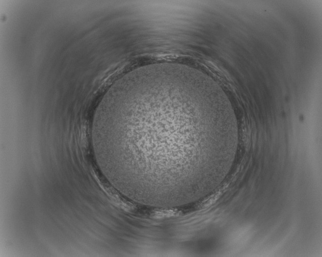 X0000065970757200603101357