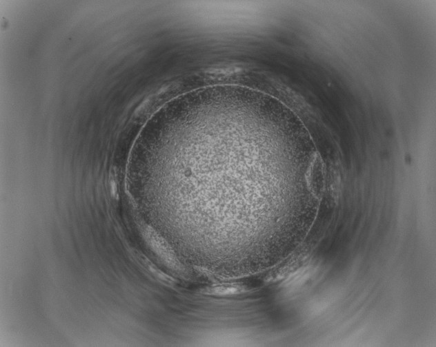 X0000065970758200603101357