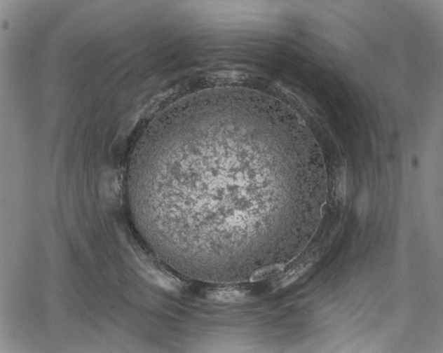 X0000065970759200603101357