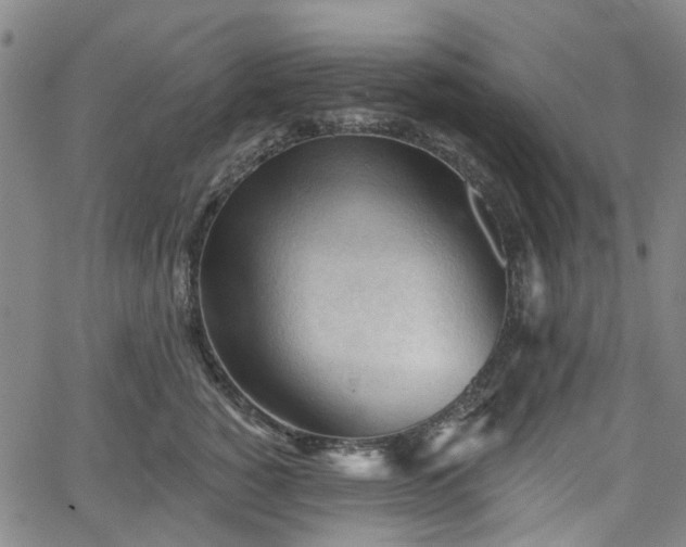 X0000065970760200603101357