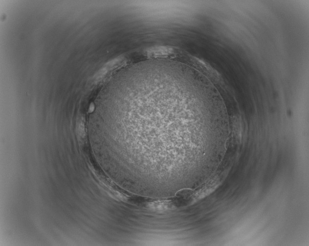 X0000065970761200603101357