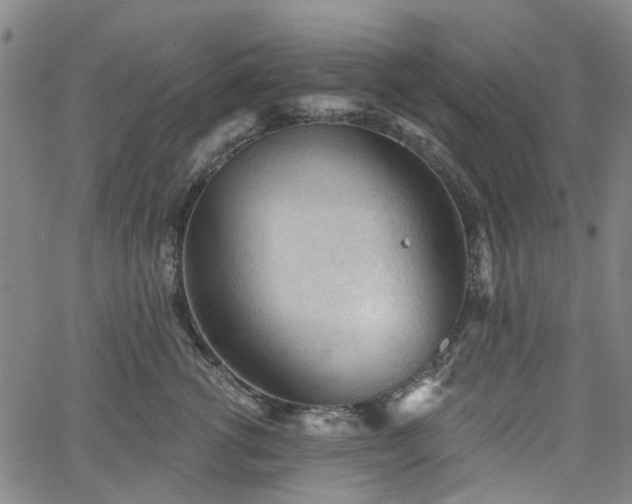 X0000065970762200603101357