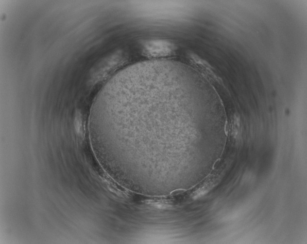 X0000065970763200603101357