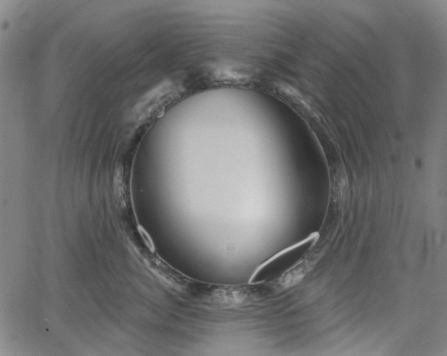 X0000065970764200603101357