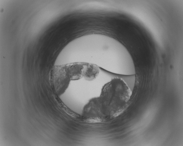 X0000065970765200603101357