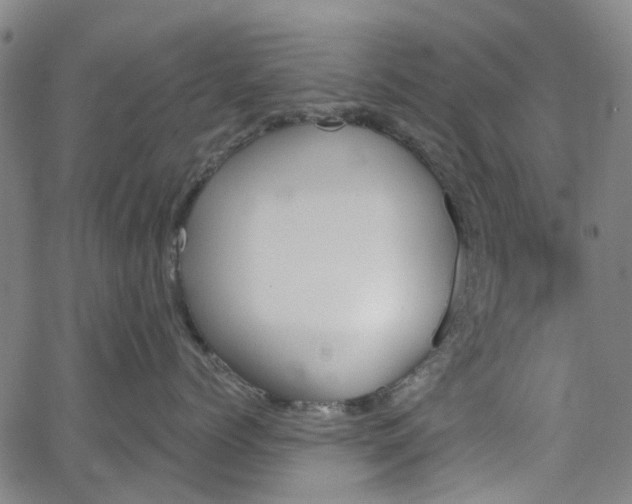 X0000065970768200603101357