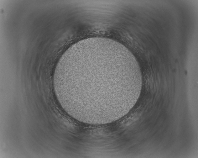 X0000065970769200603101356