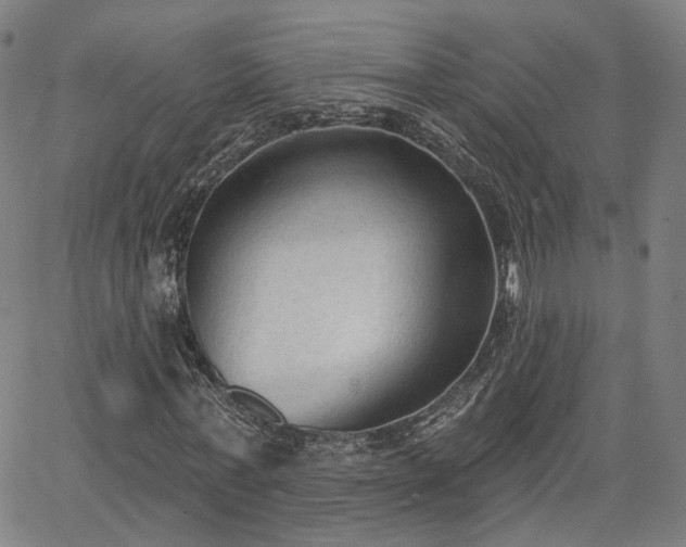 X0000065970771200603101356