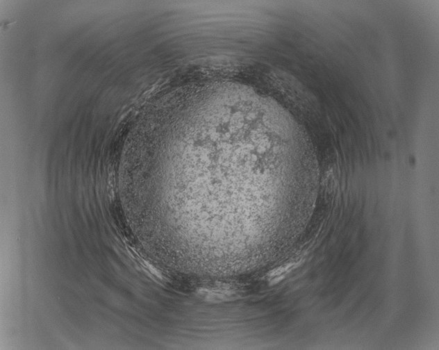 X0000065970772200603101356